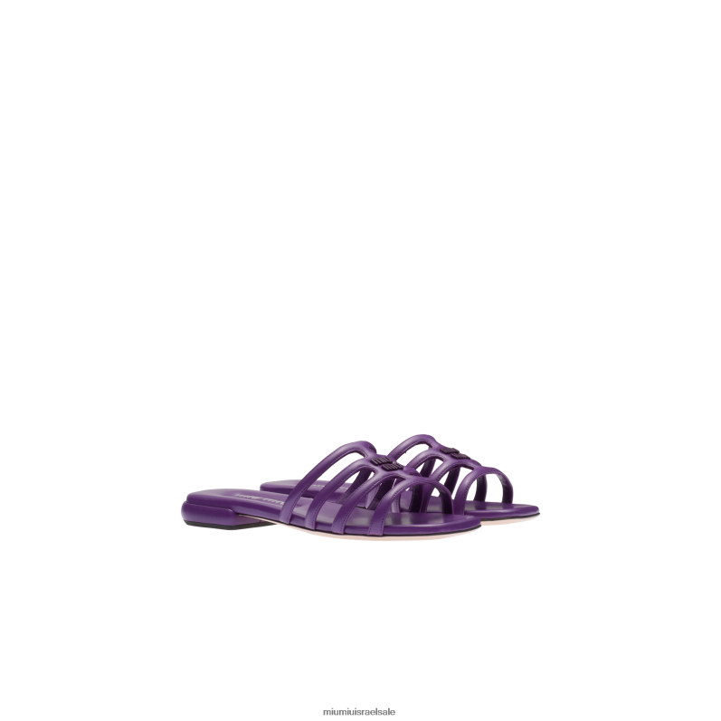 סגול פטוניה